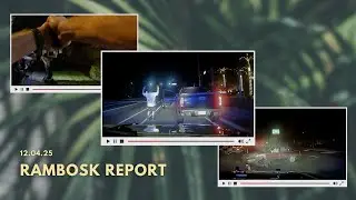 Авария с участием пьяного водителя | Угнанный автомобиль | Ванна с МДМА