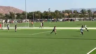Bailey Webster Highlight Tape