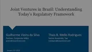 Joint Ventures in Brazil - Understanding Today&rsquo;s Regulatory Framework