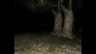 Slender par la HEYteam