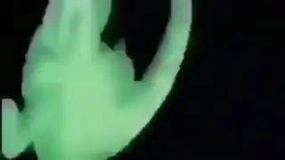 Alligator spin (not pizza time)