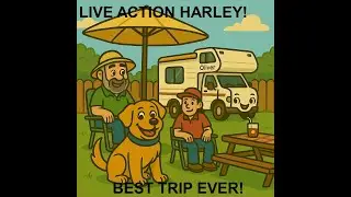 Live Action Harley: Home Again! 🏡 Hot Days, Cool Shade & Best. Trip. EVER! 🐾