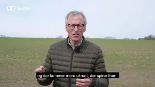 T&oslash;rke og plantev&aelig;rn - hvad g&oslash;r du?