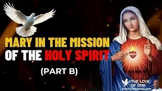 What truly happened when Mary said 