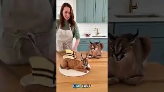 She Cuts a Caracal Cake and the Real Caracal Freaks Out! | 'Calma, &eacute; s&oacute; bolo!Freaks Out!
