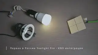 Yeelight Pro - KNX интеграция