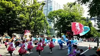 Hokkaido Festival &mdash; A Calm Look at a Local Tradition
