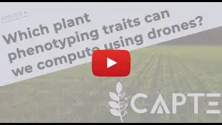 Which plant phenotyping traits can we compute using UAV (drone) ?