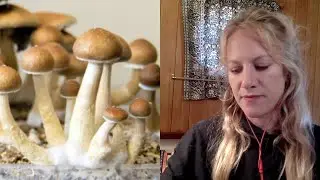 Why The Depression Comes Back After Psilocybin Therapy | Dr. Rosalind Watts