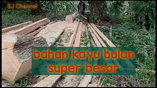 KAYU nya SUPER BESAR,, apakah mampu pro Quip menyelesaikan?? Nex!!