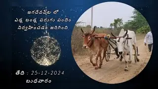 జాగదేవ్ పేట లో ఎడ్ల బండ్ల పరుగు పందాలు....!