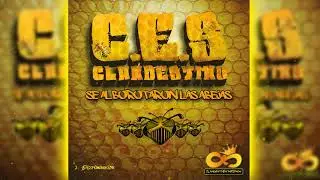 C.E.S - 03 Dicriminación