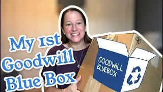 Goodwill Blue Box Unboxing $10 for 10 Clothing Items