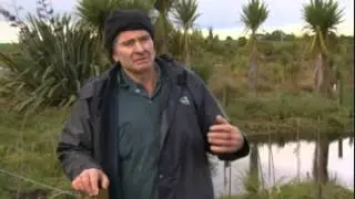 TV One's Rural Delivery: Dairy farming, DoC & Peat Lake restoration