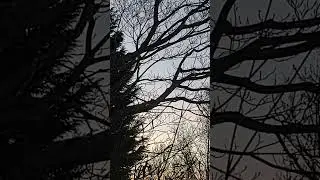 Jim's Camera at dawn is live!