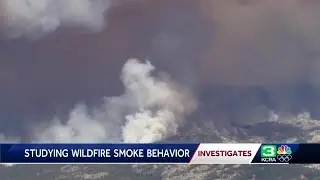Researcher describes how smoke plumes can be used to analyze wildfires