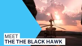 Meet The Black Hawk