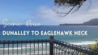 Scenic Drive Tasmania | Arthur Highway from Dunalley to Eaglehawk Neck 🚗
