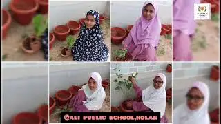 Environment Day celebration Ali public school kolar