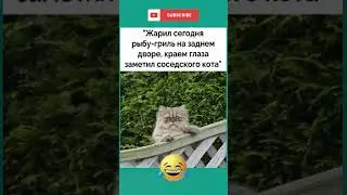 #юмор #мем #viralvideo #прикол