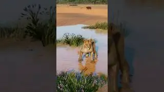 THE LION HUNT! | PLANET WILD #SHORTS #planetzoo