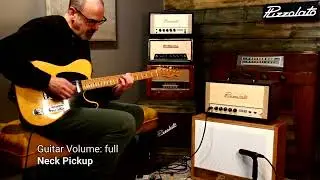 Pizzolato Amplifiers - Achilles Mark II - Sean Bray - Clip 1