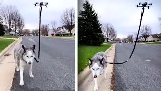 This Dog&rsquo;s Walker Is a Drone