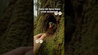 cute moments. #fypシ゚viral #cute #shortvideo #funny #ai #animals