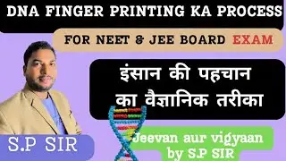  DNA Finger printing | डीएनए फिंगरप्रिंटिंग | पूरी प्रक्रिया, सिद्धांत और उपयोग |12th Biology 