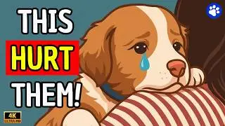 Объяснение поведения собак | 12 вещей, которые причиняют вашей собаке эмоциональную боль!