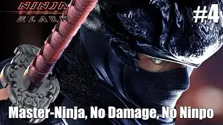 Ninja Gaiden Black Master-Ninja, No Damage, No Ninpo #4