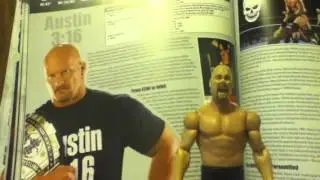 My custom Mattel basic stone cold figure review