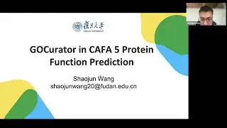 Kaggle&rsquo;s 1st place winner for &ldquo;CAFA 5 Protein Function Prediction&rdquo;, GoCurator