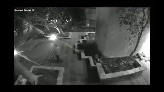 Trespasser yelled at to leave | Proactive Video Security