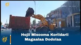 Hojii Misooma Koriidarii Magaalaa Dodolaa