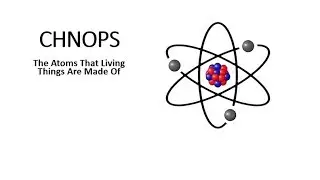 BasicBio Lesson 1.1 CHNOPS