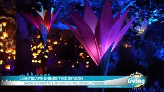 Celebrate and Savor the Magic of the Season | Lightscape Returns to the San Diego Botanic Garden