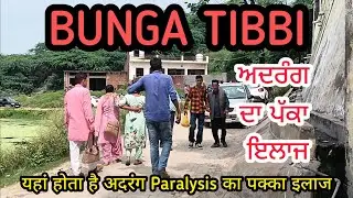 ਬੁੰਗਾ ਟਿੱਬੀ। ਅਧਰੰਗ ਦਾ ਪੱਕਾ ਇਲਾਜ। Bunga Tibbi (gunga tibbi) natural paralysis treatment । Haryana