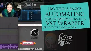 Основы Pro Tools: автоматизация VST-плагинов в Blue Cat's PatchWork