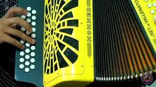 Diana- tutorial acordeon