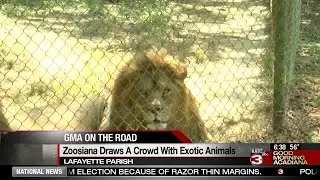 GMA on the Road: Zoosiana