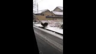 Sakai machi