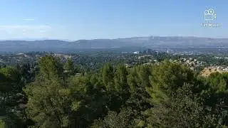 Top Of Topanga Overlook July 18, 2022