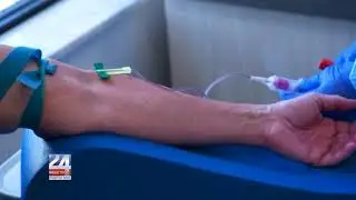 U.S Creating COVID Strain In Preparation for Human Challenge Trials