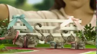 PET PARADE FAMILLE