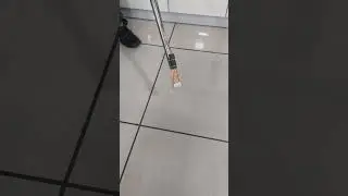 dog repellent stick