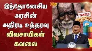 Indian Peanut Import Ban | Indonesia Government | Farmers | Exporters | Sun News
