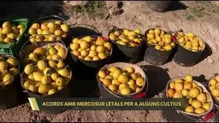 ASAJA Alicante defiende que el acuerdo UE-Mercosur es 