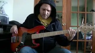 Sarah McLachlan - Possession (Bass Cover)