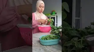 Masak bubur manado menu kesukaan̈ semua kalangan dari bayi-manula apalagi kalau di campur sambel....
